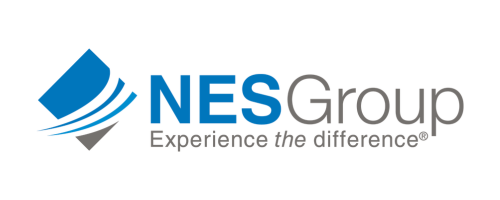 NES logo